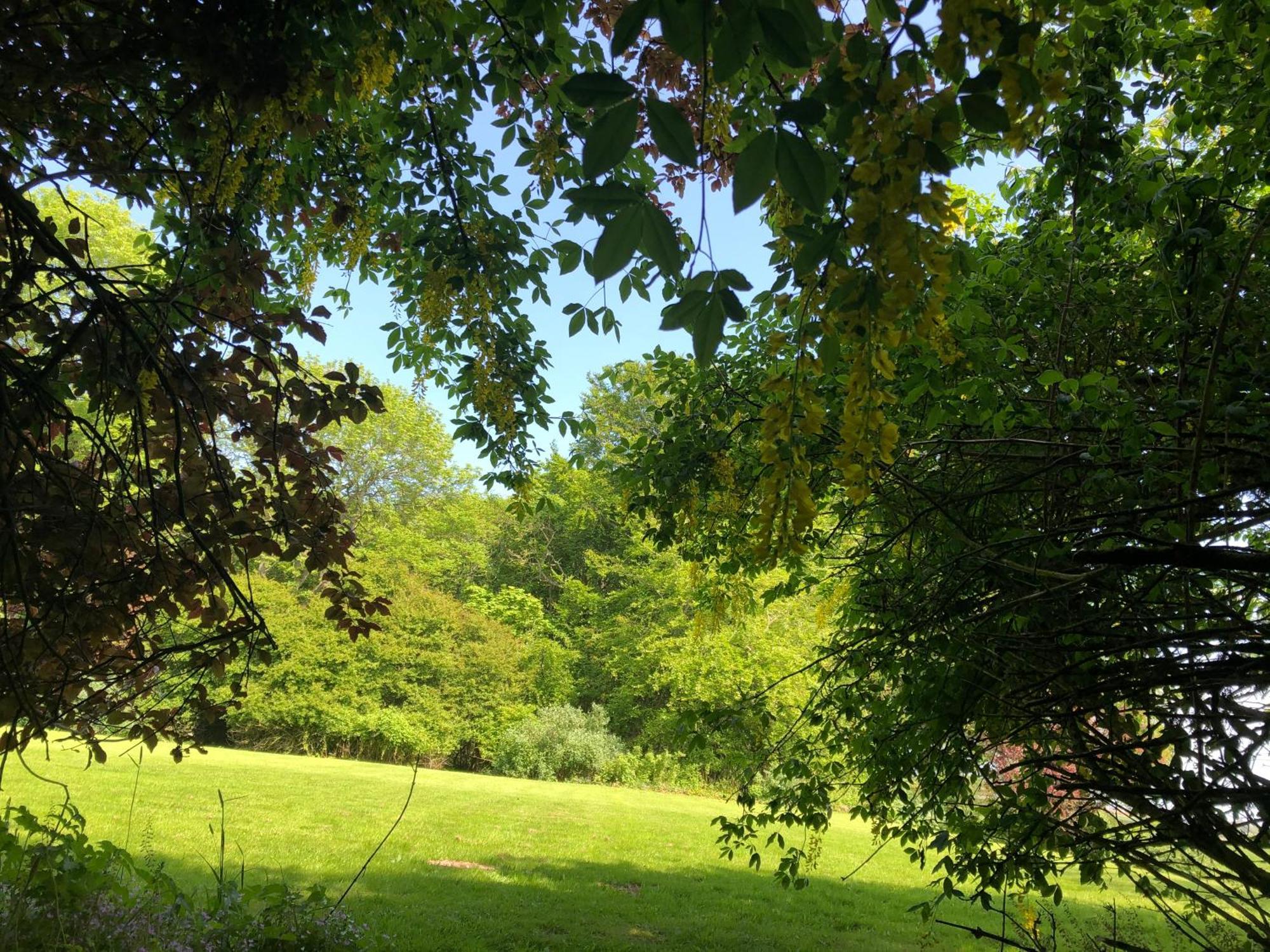 Forse Of Nature Latheron Extérieur photo